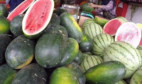 中国免费吃瓜  第3张